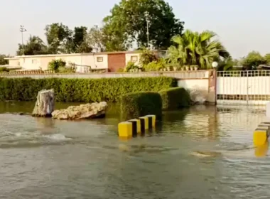 جامعہ کراچی