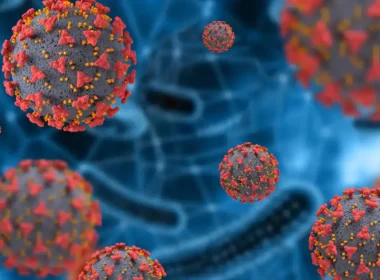 Coronavirus