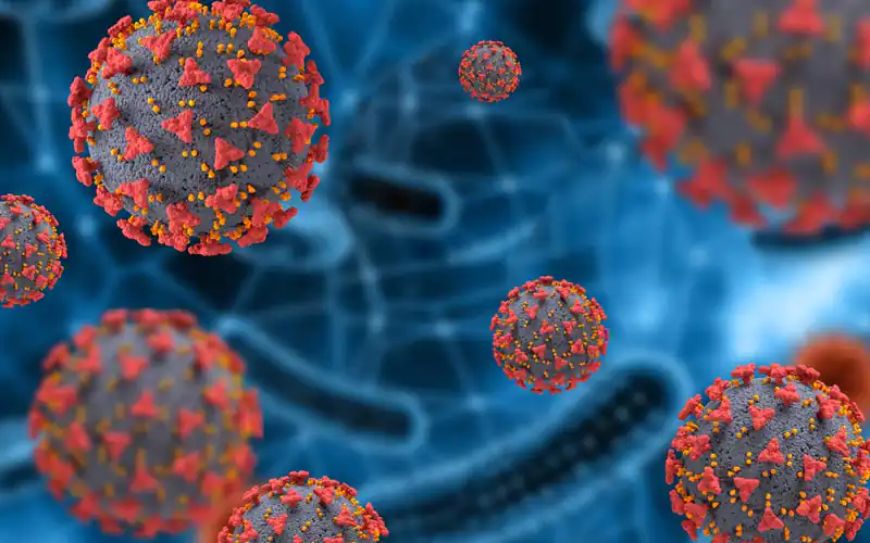 Coronavirus