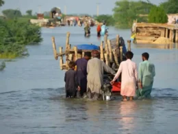 Italian Agency provide euros for flood affected areas of Sindh