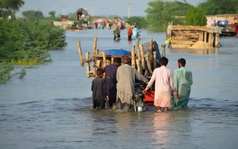 Italian Agency provide euros for flood affected areas of Sindh
