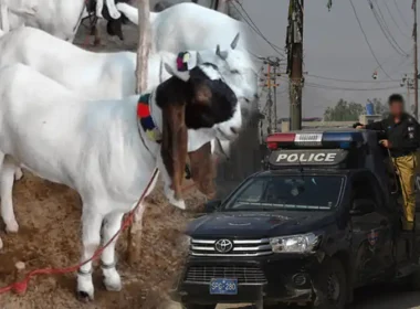 Karachi Woman Filed Petition City Court Against Police