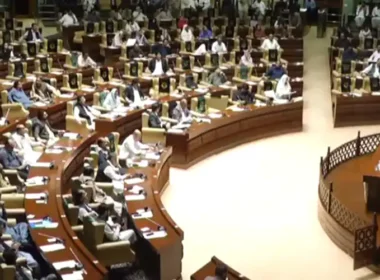 Sindh assembly