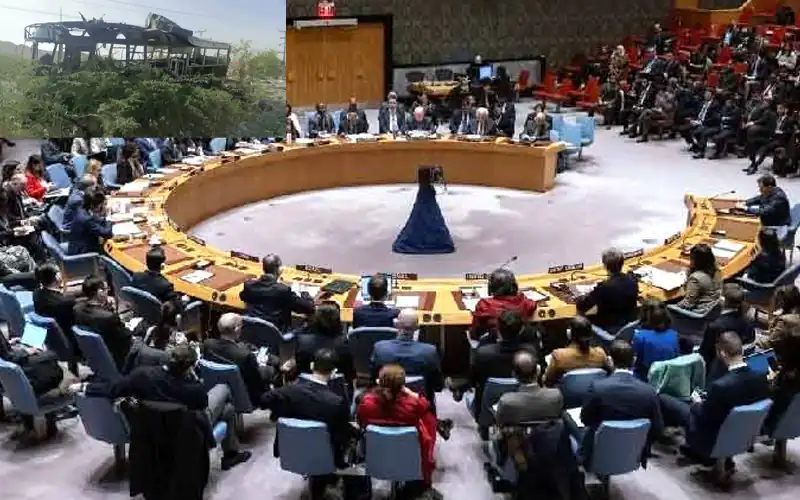 United Nations Security Council