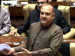 Ali Khurshedi