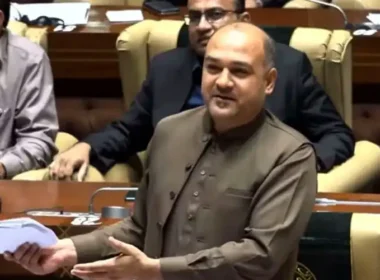 Ali Khurshedi
