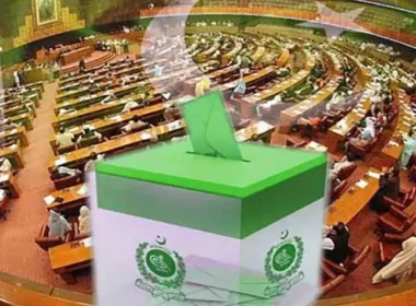 سینٹ الیکشن