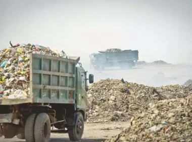 solid waste