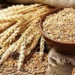 wheat