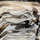 Animal Hide