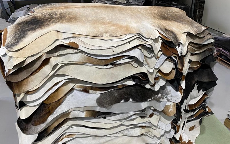 Animal Hide