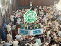 City Council budget