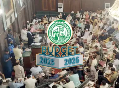 City Council budget