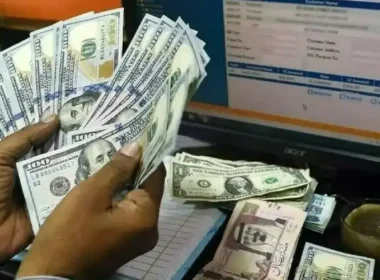 Overseas Pakistanis Set New Record for Sending Remittances