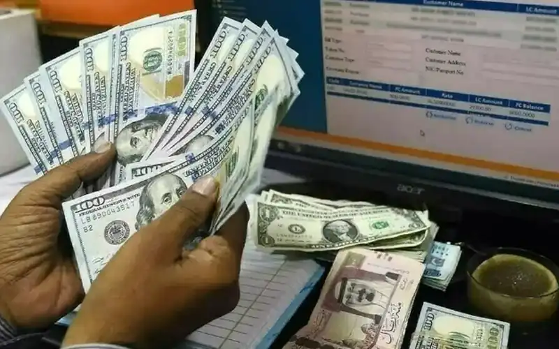 Overseas Pakistanis Set New Record for Sending Remittances