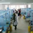 Sindh Health Department Concern Malaria Cases Karachi Sindh
