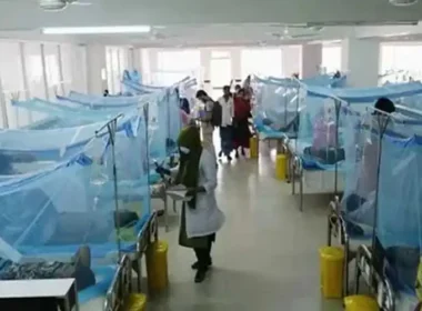 Sindh Health Department Concern Malaria Cases Karachi Sindh