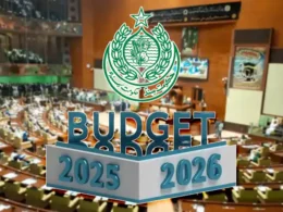 Sindh assembly budget