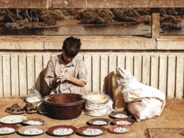 World Day Against Child Labour June 2025