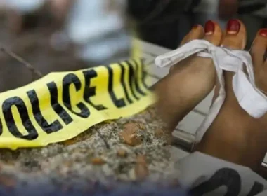 Brothers killed pregnant sister and her husband