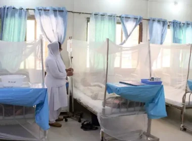 Dengue Patients Increased after Rain in Karachi
