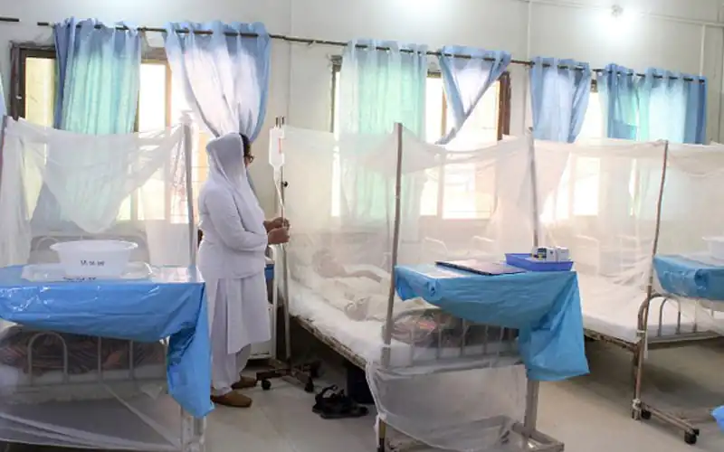 Dengue Patients Increased after Rain in Karachi