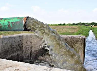 Federal Health Minister Mustafa Kamal