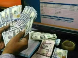 Fiscal year 2024-25, Pakistan received remittances highest history