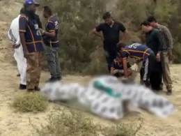 More revelations emerged bodies of couple found near China Port