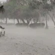 PDMA Punjab issued alert of more rains across the Punjab