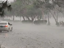 PDMA Punjab issued alert of more rains across the Punjab
