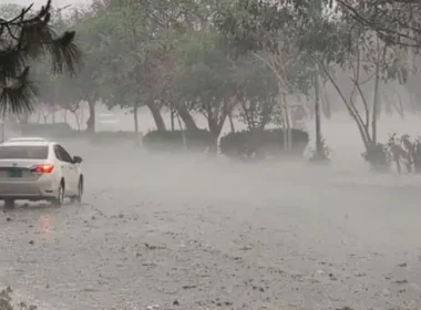 PDMA Punjab issued alert of more rains across the Punjab