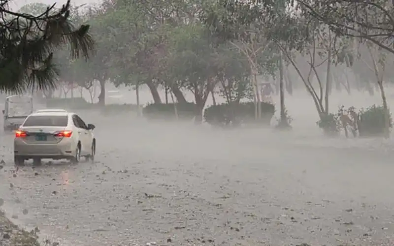 PDMA Punjab issued alert of more rains across the Punjab