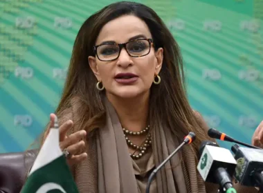 Sherry Rehman reacted news President Asif Zardari’s resignation