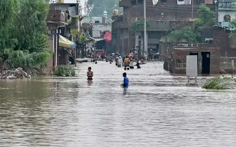 Flood alert issued in Punjab as water levels rise in rivers