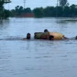 Floods wreak havoc in Punjab