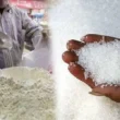Flour and sugar are the most expensive in Karachi
