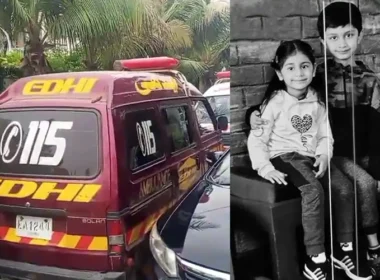 Important revelation in investigation murder of 2 children in Defense