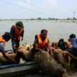 Punjab's rivers overflow after India releases water