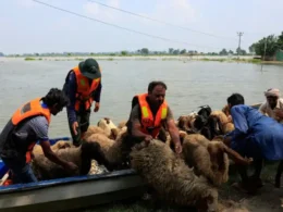 Punjab's rivers overflow after India releases water