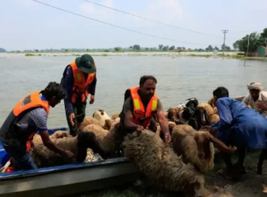 Punjab's rivers overflow after India releases water