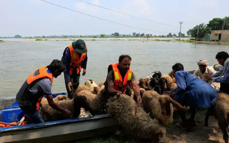 Punjab's rivers overflow after India releases water