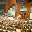 Sindh assembly