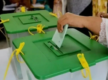 Papers approved for 81 local government seats in Sindh