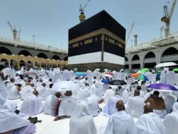 Policy prepared for registered pilgrims unable to go on Hajj