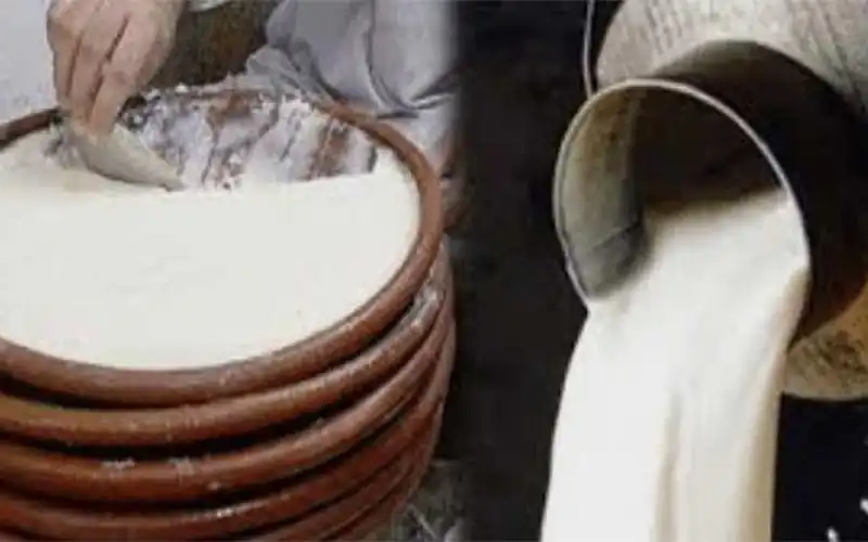 What is the price difference between milk and yogurt?