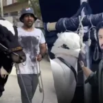 Eid Al-Adha cricketers bring their animals