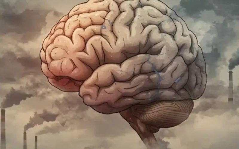 How Air Pollution Is Dangerous for the Human Brain