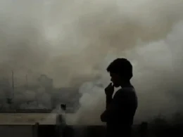 Lung cancer caused by air pollution revealed