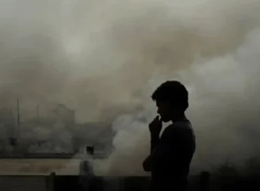 Lung cancer caused by air pollution revealed